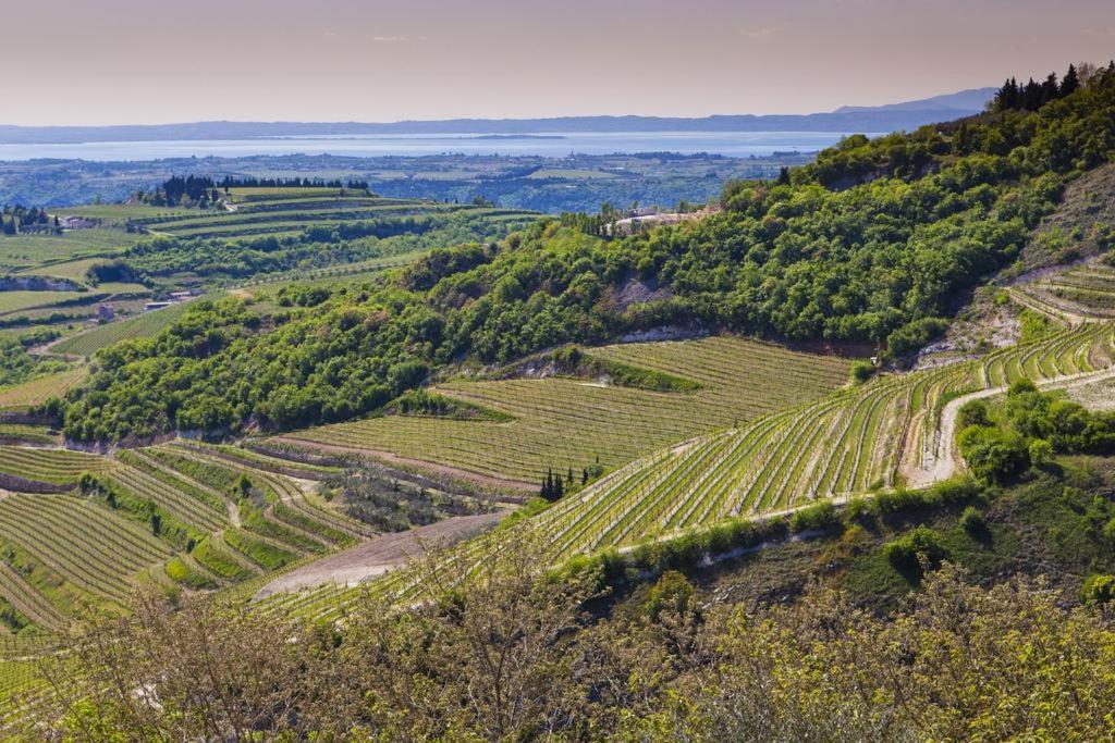 Bed and Breakfast La Grande Casa Valpolicella Сант-Амброджо-ди-Вальполичелла Экстерьер фото